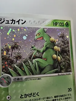 Pokemon Japanese 1st Ed EX Ruby Sapphire Sceptile Holo Rare 003/055 NEAR MINT - Image 3
