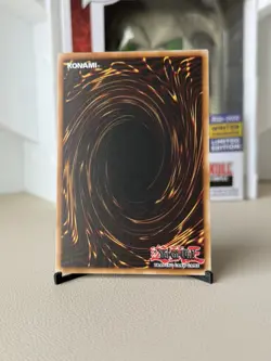 Yu-Gi-Oh! Dark Magician of Destruction Maze of Muertos MZMU-EN011 1st Ed NM - Image 4