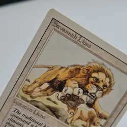 Savannah Lions Creature Card Regular Daniel Gelon, Magic the Gathering, MTG - Image 3