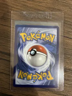 Galarian Moltres SWSH284 SWSH: Sword & Shield Promo Cards Holo - Image 2