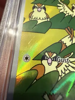 2023 POKEMON OBF EN-OBSIDIAN FLAMES ILLUSTRATION RARE #207 PIDGEY PSA 10 - Image 3