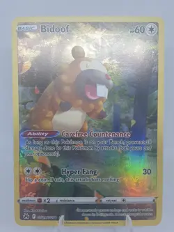 Bidoof Gg29/Gg70 Crown Zenith: Galarian Gallery Holo Rare Pokemon Card NM - Image 1