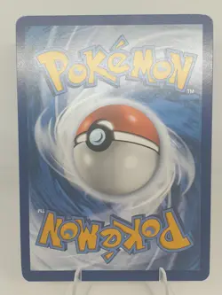 Bidoof Gg29/Gg70 Crown Zenith: Galarian Gallery Holo Rare Pokemon Card NM - Image 3