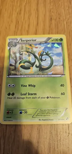 Pokemon Serperior 5/114 Cracked Ice Holo Card Black White MINT TCG - Image 2