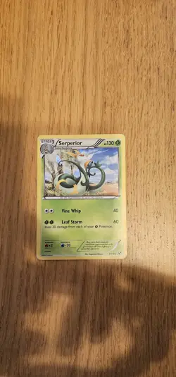 Pokemon Serperior 5/114 Cracked Ice Holo Card Black White MINT TCG - Image 3