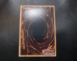 Nightmare Pain (Secret Rare) 25LP-EN005 Limited Pack World Championship Card NM - Image 2