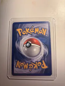 Nintendo Swampert 5/17 POP Series 1 Holo Rare English Stage 2 100 HP 2004 - Image 2