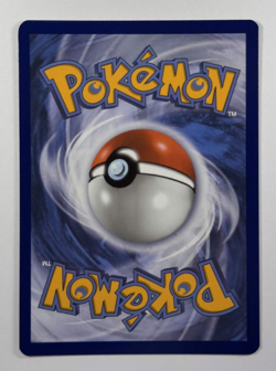 Fennekin 080 Pokemon Center Chaos Rising Stamped Promo - Image 2