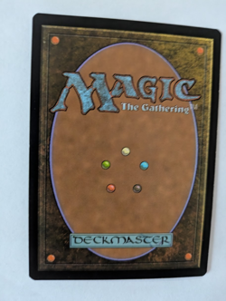 Hallowed Fountain Return to Ravnica MTG NM Free shipping with tracking - Image 2