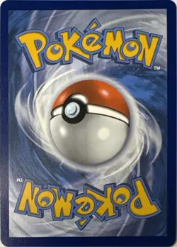 Blaziken V 020/198 HOLO V Rare Chilling Reign Pokemon Near Mint - Image 2