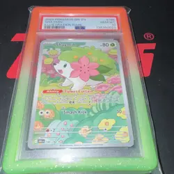 Pokemon TCG Shaymin Sv10 Destined Rivals Illustration Rare Holo #185 PSA 10 - Image 4