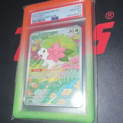 Pokemon TCG Shaymin Sv10 Destined Rivals Illustration Rare Holo #185 PSA 10 - Image 5