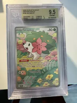 2025 POKEMON DRI EN-DESTINED RIVALS ILLUSTRATION RARE 185 SHAYMIN PSA 10 BGS 9.5 - Image 1