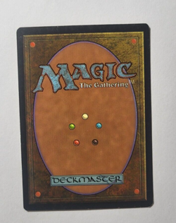 Undiscovered Paradise Visions LP+ Rare Magic the Gathering Card - Image 2