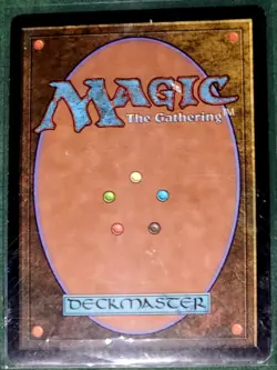 Hickory Woodlot Mercadian Masques Regular MP Magic The Gathering MTG - Image 2