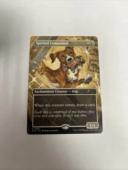 Spirited Companion Borderless Nonfoil Secret Lair Card #0896 MTG LP - Image 1