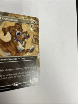 Spirited Companion Borderless Nonfoil Secret Lair Card #0896 MTG LP - Image 2