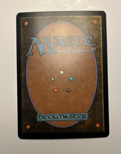 MTG Pyrohemia FOIL NM- Planar Chaos (PLC) - ENGLISH - Magic: the Gathering - Image 2