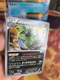 Pokemon Karte Card Tyranitar XY Promo Gym Promo Pack japanese NM - Image 2