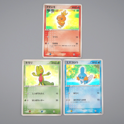 Pokemon Card Torchic Treecko Mudkip 002/019 003/019 2003 Holo EX Japanese r124 - Image 1