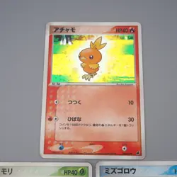 Pokemon Card Torchic Treecko Mudkip 002/019 003/019 2003 Holo EX Japanese r124 - Image 2