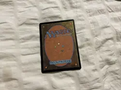 Mystic Remora (Borderless) Secret Lair Drop Regular Mtg #406 - Image 2