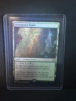 Overgrown Tomb (Non-Foil) Lorwyn Eclipsed MTG ECL #266 NM - Image 1