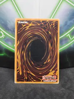 Yugioh Paladin of White Dragon MFC-026 Ultra Rare VLP - Image 2