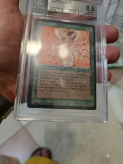 1993 MTG Arabian Nights Drop of Honey Magic the Gathering BGS 8.5 Near-Mint+ - Image 3