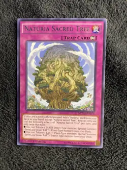 3x Naturia Sacred Tree, The New Challengers/NECH-EN076 - Image 5