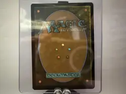 🔥Teenage Mutant Ninja Turtles MTG | Showcase Lot | Foil🔥 - Image 3