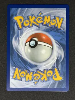 Garganacl - 202/182 - NM - Paradox Rift - Illustration Rare - Pokemon Card - Image 2