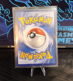 Pikachu Bidoof Trainer 004/004 Promo Pokemon Simplified Chinese - Image 2