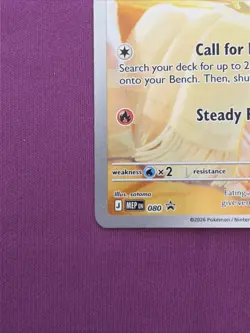 Pokemon Fennekin 080 - Black Star PROMO Sealed IN HAND Chaos Rising ETB - Image 5