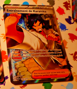 Pokemon Heros Transcendant Card Holo Carte Karateka 255/217 ASC FR Mint - Image 1