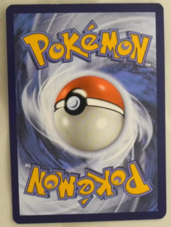 Pokemon TCG Eiscue Full Art Holo 205/193 - SV02: Paldea Evolved - Image 3