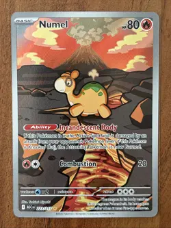 Pokemon TCG Numel 223/217 Ascended Heroes Illustration Rare NM Card - Image 1