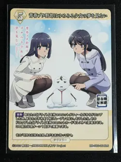Build Divide Bunny Girl Senpai Nodoka Toyohama BB-SBS-004bN Waifu Mai Sakurajima - Image 2