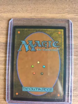 Misty Rainforest Mtg - Image 2