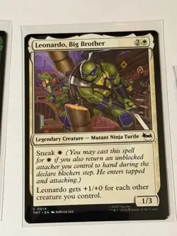 Leonardo, Big Brother Teenage Mutant Ninja Turtles 14 - Image 1