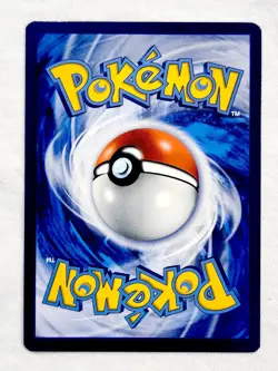 Bibarel 121 Brilliant Stars Rare Holo Pokemon TCG - Image 2