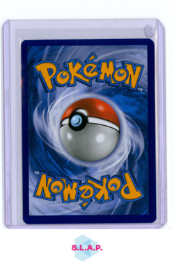 KARPADOR & WAILORD GX POKEMON SM BLACK STAR PROMO ULTRA RARE SM166 DE 2019 - Image 2
