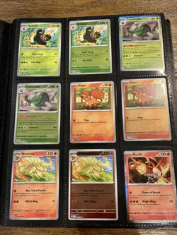 Pokemon Chaos Rising Complete Master Base Set (162) Holo, Reverse , EX + Promo - Image 4