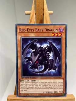 Red-Eyes Baby Dragon - 1st Edition SBC1-ENI10 - NM - YuGiOh - Image 1