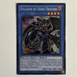 Yugioh Tcg Paladin of Dark Dragon DRL2-EN018 Secret Rare 1st Ed NM Single! - Image 1