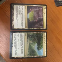 MTG Reflecting Pool 278/301 Rare Shadowmoor & Exotic Orchard - Image 3