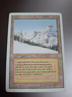 Taiga Revised Edition Regular Dual Land MP Front HP Back Decent shape See pic - Image 1