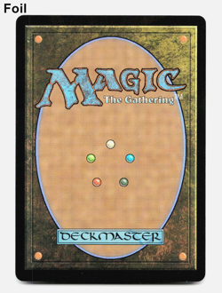 Rosie Cotton of South Lane (Borderless) - Foil - [The Lord of the Rings] MTG ⚪ - Image 2