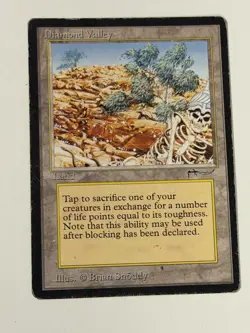 Magic the Gathering Arabian Nights-DIAMOND VALLEY HP - Image 5