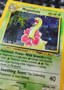Meganium 11/111 Holo Rare Neo Genesis Pokemon Unlimited Holo Lightly Played - Image 4